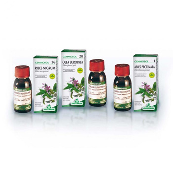 GEMMOSOL 46 TIGLIO ARGEN 50ML - Gruppofarmastore.it
