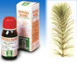 EQUISETO 12 50ML TM - Gruppofarmastore.it