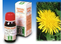 TARASSACO 28 50ML TM - Gruppofarmastore.it
