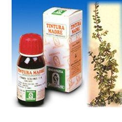 UVA URSINA 30 50ML TM - Gruppofarmastore.it