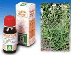 ACHILLEA 51 50ML TM - Gruppofarmastore.it