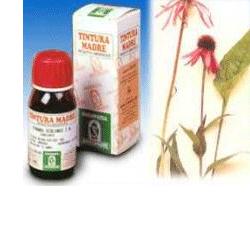 ECHINACEA 59 50ML TM - Gruppofarmastore.it