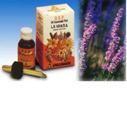 LAVANDA OLIO ESSENZIALE PURO 10 ML - Gruppofarmastore.it