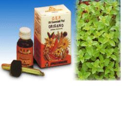 ORIGANO OLIO ESSENZIALE PURO 10 ML - Gruppofarmastore.it