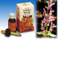 SALVIA FOGLIE OLIO ESSENZIALE PURO 10 ML - Gruppofarmastore.it