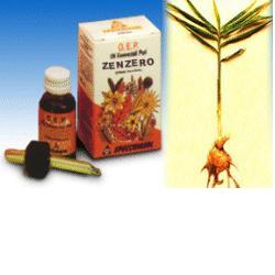 ZENZERO OLIO ESSENZIALE PURO 10 ML - Gruppofarmastore.it