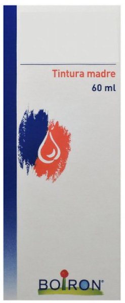 TARAXACUM TINTURA MADRE 60 ML - Gruppofarmastore.it