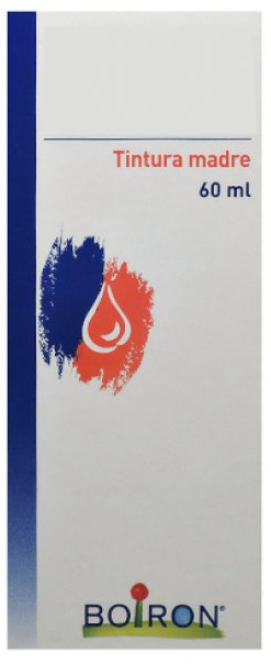 THUYA OCCIDENTALIS TINTURA MADRE 60 ML - Gruppofarmastore.it