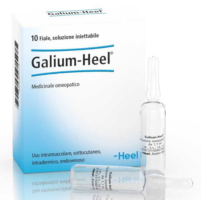 HEEL GALIUM 10 FIALE DA 1,1 ML L'UNA - Gruppofarmastore.it