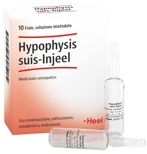HEEL HYPOPHYSIS SUIS INJEEL 10 FIALE - Gruppofarmastore.it