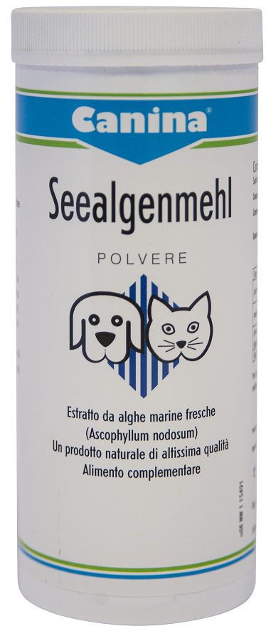 SEEALGEN POLV 250G - Gruppofarmastore.it