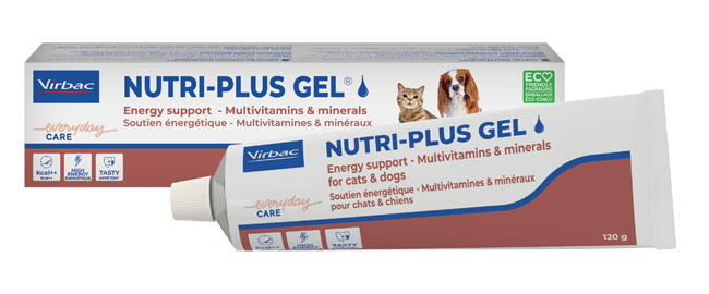 NUTRIPLUS GEL PASTA ORALE 120 G - Gruppofarmastore.it