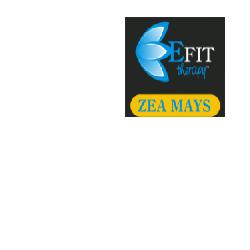 ZEA MAYS ESTRATTO FLUIDO 30 ML - Gruppofarmastore.it