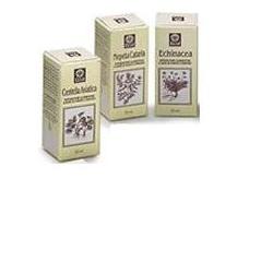 CENTELLA ASIATICA ESTRATTO ANALCOLICO 50 ML - Gruppofarmastore.it