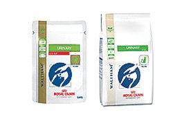 VETERINARY DIET FELINE DRY URINARY S/O 1,5 KG - Gruppofarmastore.it