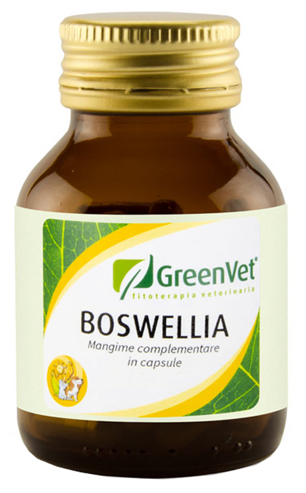 GREENVET BOSWELLIA 50 CAPSULE - Gruppofarmastore.it