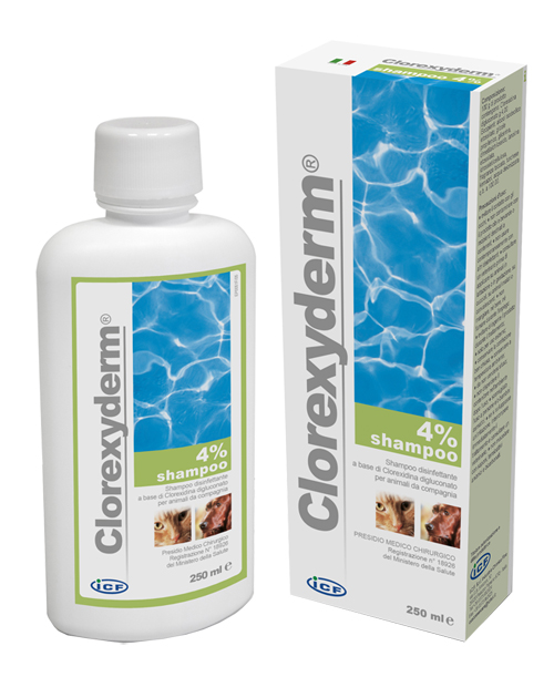 CLOREXYDERM SHAMPOO 4% 250 ML - Gruppofarmastore.it