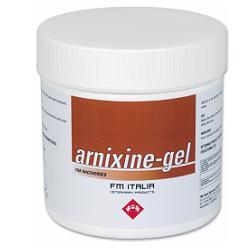 ARNIXINE GEL 750ML - Gruppofarmastore.it