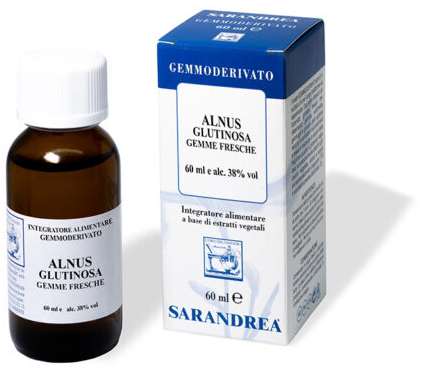 ALNUS GLUTINOSA 100 ML MACERATO GLICERICO - Gruppofarmastore.it