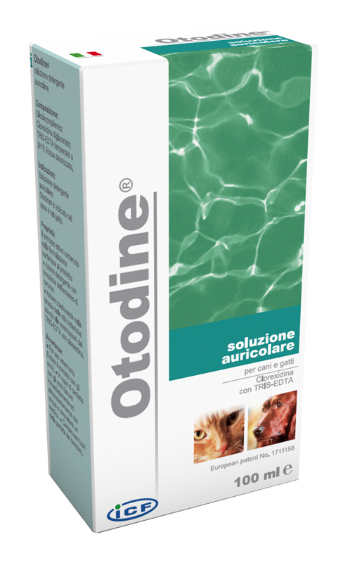 OTODINE DETERGENTE LIQUIDO 50 ML - Gruppofarmastore.it