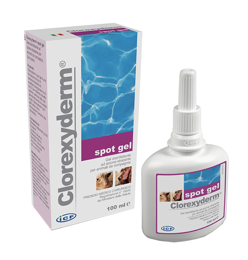 CLOREXYDERM SPOT GEL 100 ML - Gruppofarmastore.it