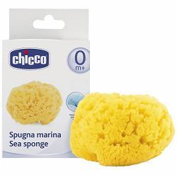 CHICCO SPUGNA MARE PICCOLA - Gruppofarmastore.it