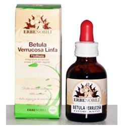 FITOBLASTO BETULLA VERRUCOSA LINFA 50 ML - Gruppofarmastore.it