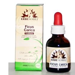FITOBLASTO FICUS CARICA 50 ML - Gruppofarmastore.it