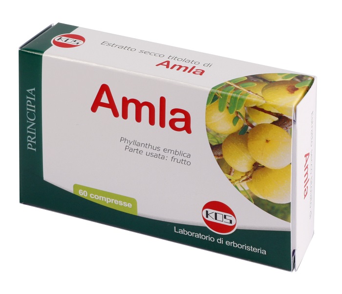 AMLA ESTRATTO SECCO 60 COMPRESSE - Gruppofarmastore.it