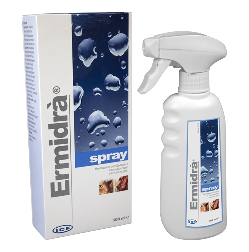 ERMIDRA' SPRAY 300 ML - Gruppofarmastore.it