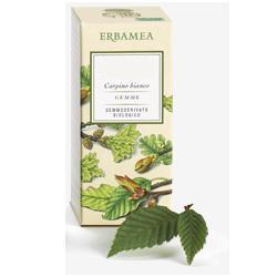 FRAXINUS EXCELS GEMME GEMMODERIVATO - Gruppofarmastore.it