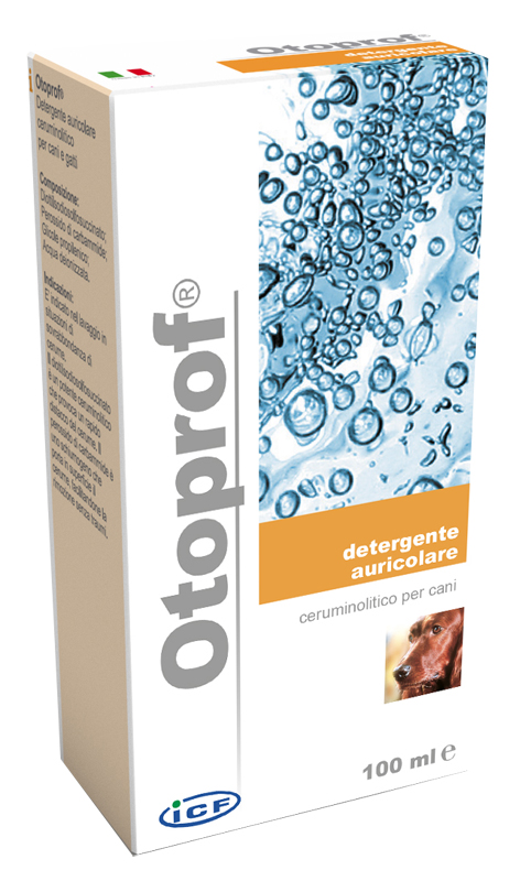 OTOPROF SOLUZIONE AURICOLARE 100 ML - Gruppofarmastore.it