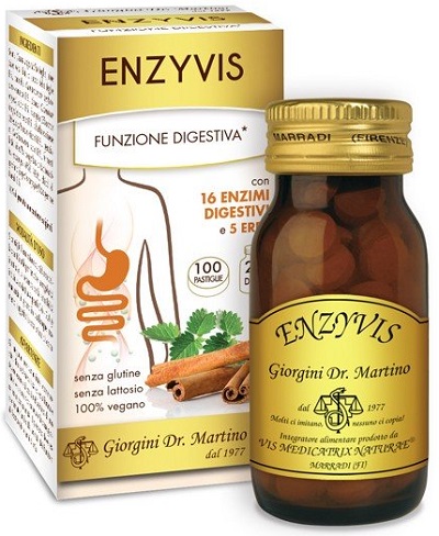 ENZYVIS 100 PASTIGLIE - Gruppofarmastore.it