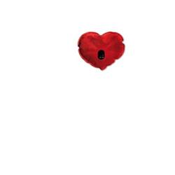 CALDO CUORE ELECTRIC WARMER - Gruppofarmastore.it