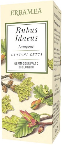 RUBUS IDAEUS LAMPONE BIO 50 ML - Gruppofarmastore.it