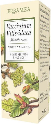 VACCINIUM VITIS IDAEA MIRTILLO ROSSO BIO 50 ML - Gruppofarmastore.it