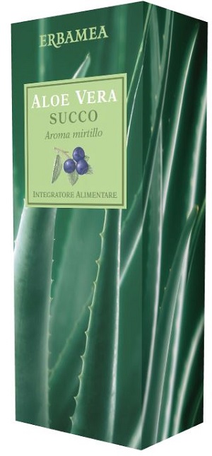 ALOE VERA SUCCO MIRTILLO 500 ML - Gruppofarmastore.it