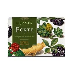 FORTE 24 CAPSULE - Gruppofarmastore.it