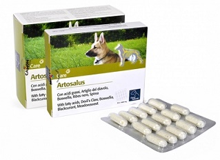 ARTOSALUS COMPRESSE 30 COMPRESSE - Gruppofarmastore.it