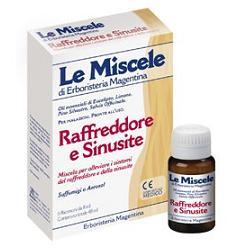 MISCELA RAFFREDDORE & SINUSITE 6 FLACONCINI MONODOSE DA 8 ML - Gruppofarmastore.it
