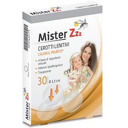 MISTER Z PATCH POST-PUNT 30PZ - Gruppofarmastore.it
