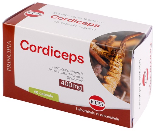 CORDICEPS ESTRATTO SECCO 60 CAPSULE - Gruppofarmastore.it