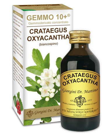 GEMMO 10+ BIANCOSPINO LIQUIDO ANALCOLICO 100 ML - Gruppofarmastore.it
