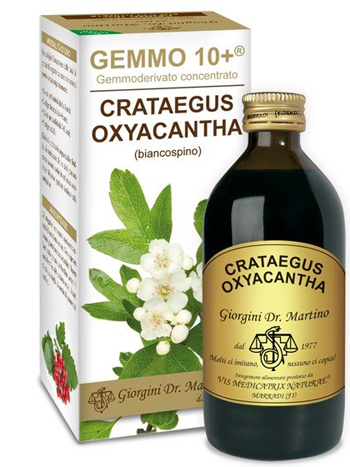 GEMMO 10+ BIANCOSPINO LIQUIDO ANALCOLICO 200 ML - Gruppofarmastore.it