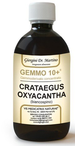 GEMMO 10+ BIANCOSPINO LIQUIDO ANALCOLICO 500 ML - Gruppofarmastore.it