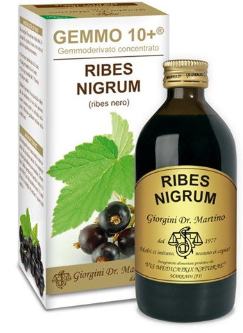 GEMMO 10+ RIBES NERO 200 ML LIQUIDO ANALCOLICO - Gruppofarmastore.it