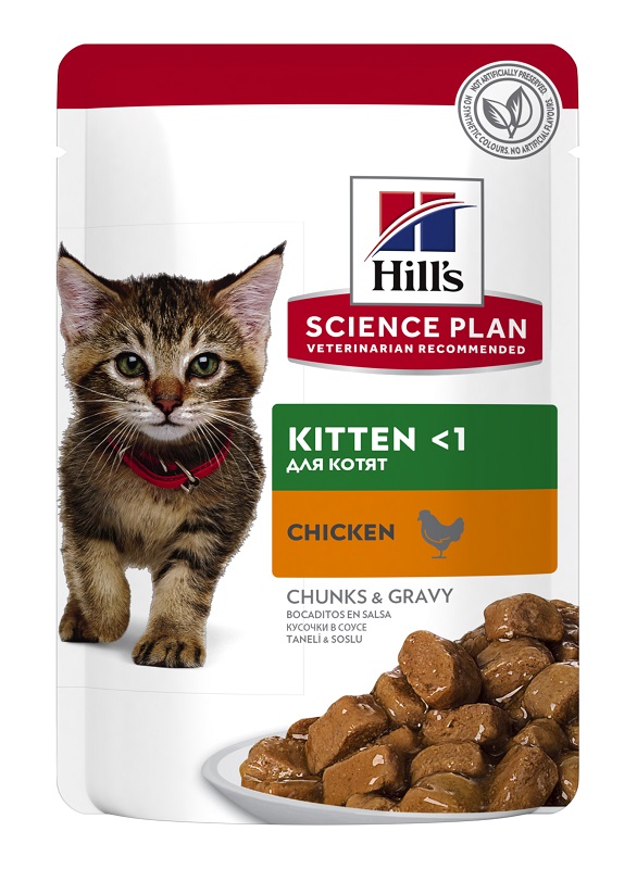 SCIENCE PLAN FELINE KITTEN CHICKEN 85 G - Gruppofarmastore.it
