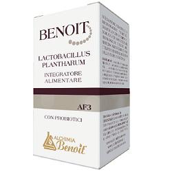 BENOIT LACTOBACILLUS PLANTHARUM 30 CAPSULE - Gruppofarmastore.it