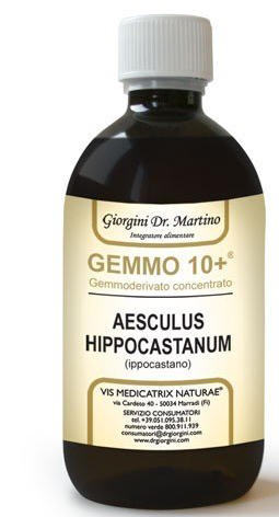 GEMOO 10+ GEMMODERIVATO CONCENTRATO IPPOCASTANO LIQUIDO ANALCOLICO AESCULUS HIPPOCASTANUM IPPOCASTANO 500 ML - Gruppofarmastore.it