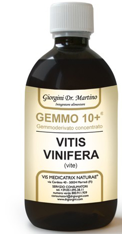GEMMO 10+ VITE LIQUIDO ANALCOLICO 100 ML - Gruppofarmastore.it